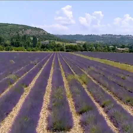 Le Nesk Ventoux - Hotel