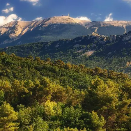 Hotel Le Nesk Ventoux - Sault-de-Vaucluse